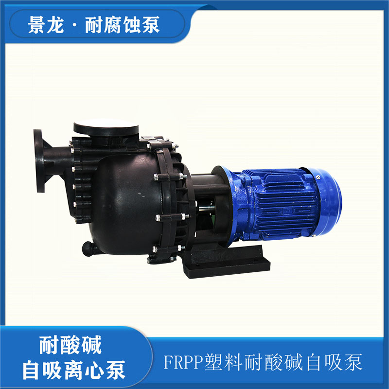 耐酸堿自吸泵